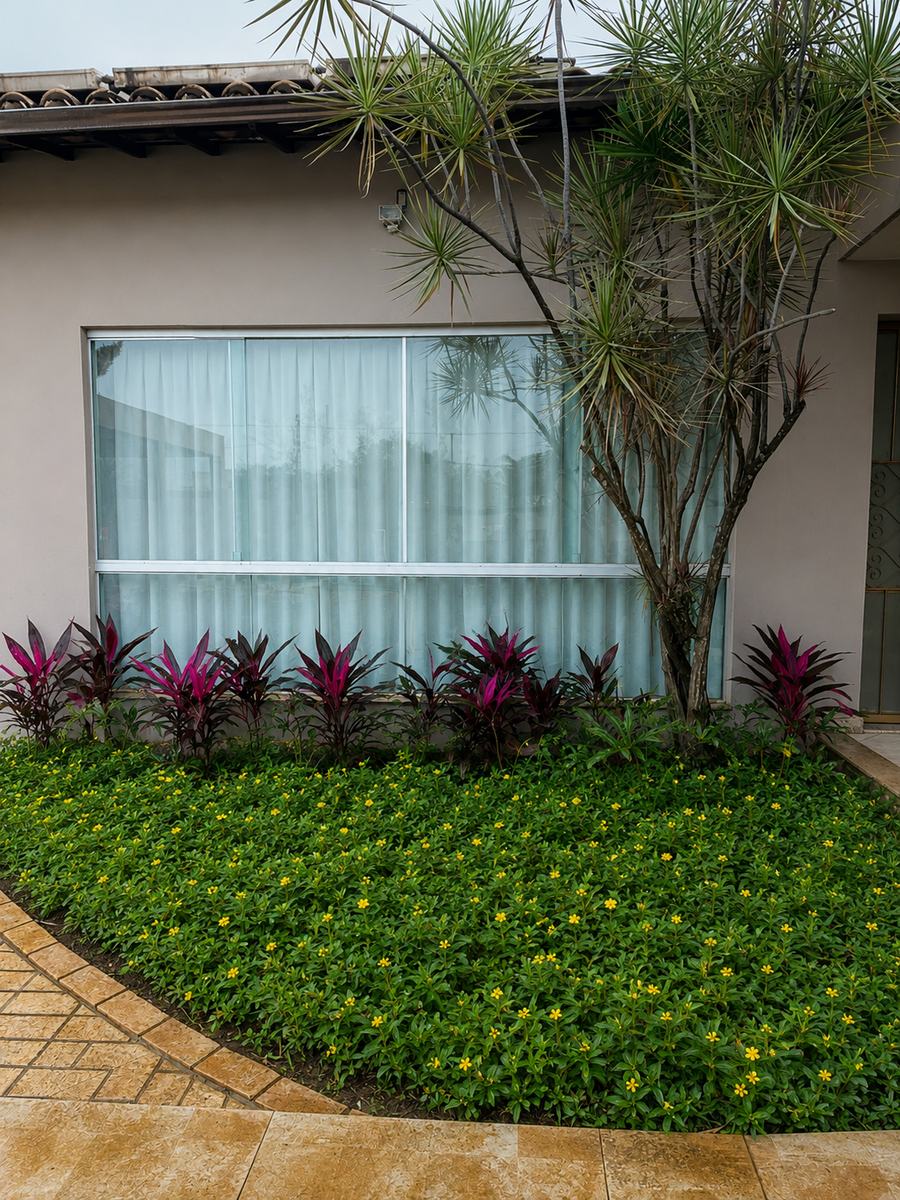 Jardim da casa com forração florida, folhagens coloridas e uma árvore junto à janela da sala.